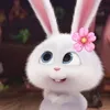 ૮˶• ﻌ •˶ა./づ~ 🦴zhizhixuexue
