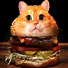 catburger60