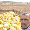 mustafa.alak10