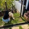 dianamosqueda34
