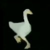 duck_3mk0