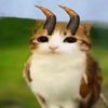 zip.zorp.the.cat