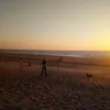 robert.gajewski80