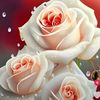 hurt_celebiyeva
