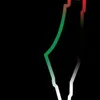 anim_2.5