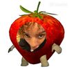 lilfrog713