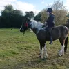 sophss_xx1