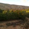 hafnawi.salim