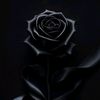 khit.thit333