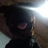 ley.espititu_