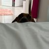 randomvids_idk3