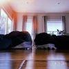 random_account.422