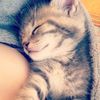 ruby_khe2