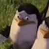 khanzxfzi0v