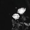 _its_isla_907