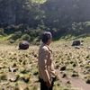 imapip.1