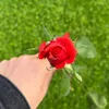 bi_bbi77