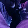 _lamelo1
