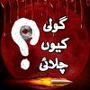 syed.sajid.hussain14