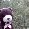 mrw.lele
