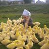 fatemeh.farhanias