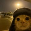 itzzyr_paiq
