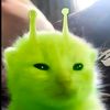 l_m_h77