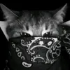 user82spvv7y4a