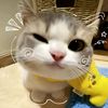 saaaaaa22_1