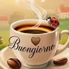 dambele.osman