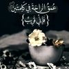 shiraz.be