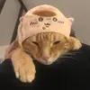 tintin_gingercat