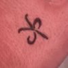 vvsjoey