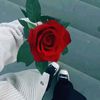 user6122551483080