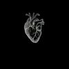 tota.elbadrawy