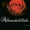 kanwal.khan7807
