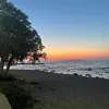 alex.w21_