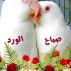 mdaghri.mounia