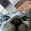 _ketguy982