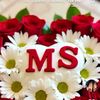 user11634037332963