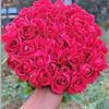 mst.sadia.ayman