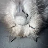 radonenjoyer4