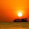 tranphuc_43