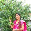 sunita.limbu588
