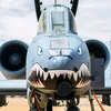 im_just_a_a10_warthog