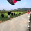 anh.anh9761