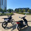 gragon235