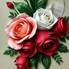 om.yousef110