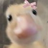 nadila__04