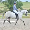chequestrian